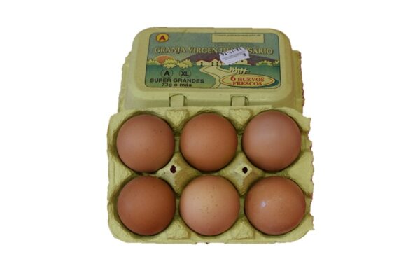 HUEVOS DE GALLINA
