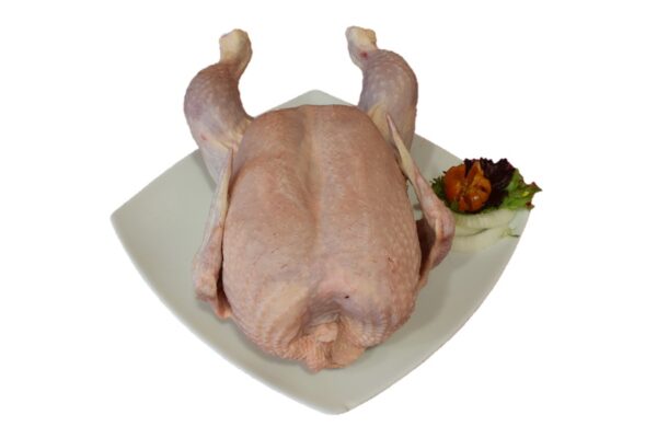 POLLO ENTERO