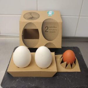 HUEVOS DE OCA