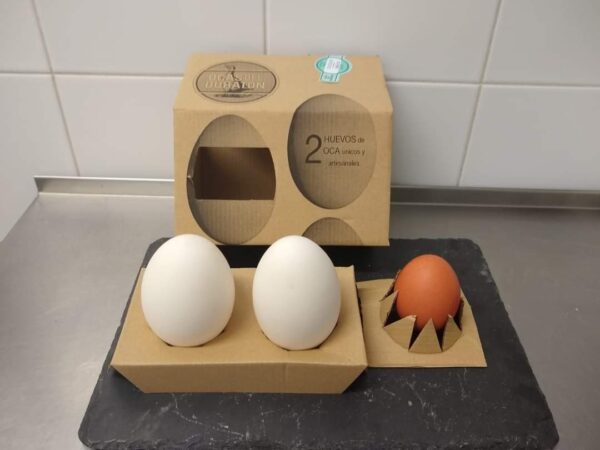 HUEVOS DE OCA