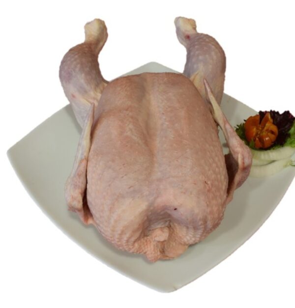POLLO A TROZOS